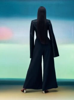 The Remy Top In Black -Paramount Dresses Store 05 04 SolaceLondon PF21 05 036 v2 Lifted