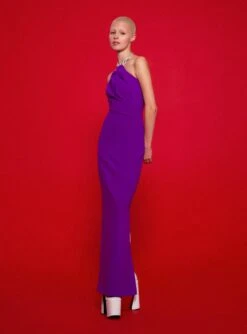 The Riva Maxi Dress In Purple