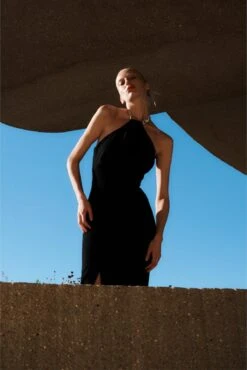 The Danette Dress In Black -Paramount Dresses Store solace london os27026 danette black shoot 1