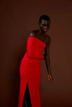 The Palmer Dress In Red -Paramount Dresses Store solace london os29005 palmer red side detail 5 1